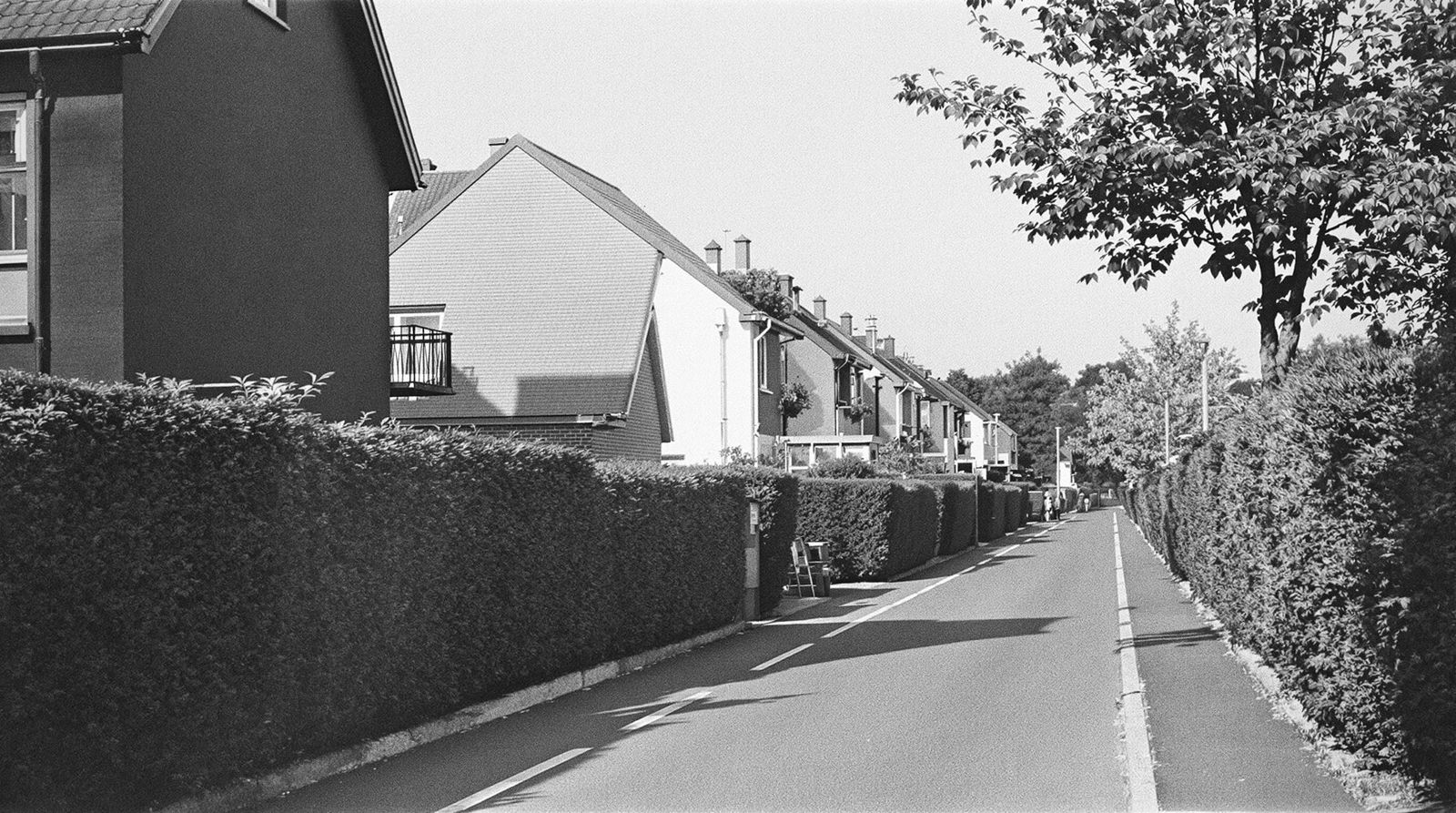 Ruhige Wohnstraße mit Hecken und Vorgärten an einem hellen Tag